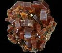 Large Red Vanadinite Crystals on Matrix - Morocco #42200-1